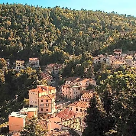 Bed and Breakfast Rocca Contrada Arcevia